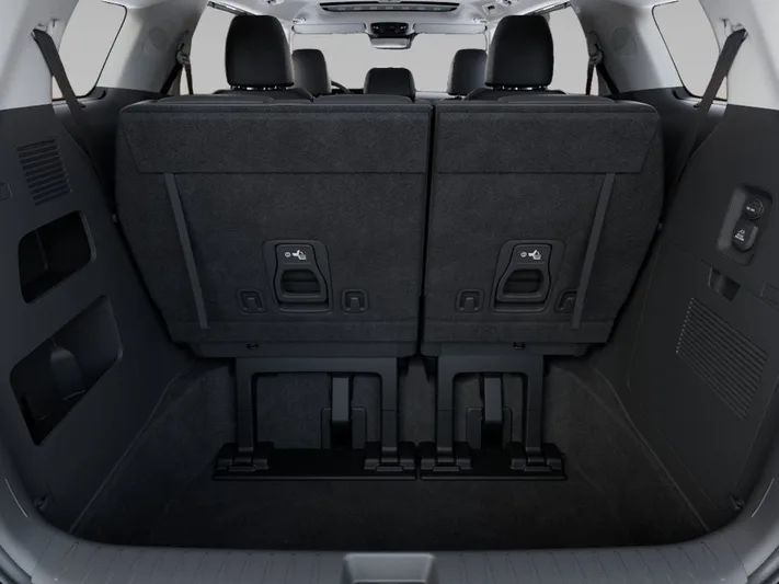 2026 Kia Carnival - view 19