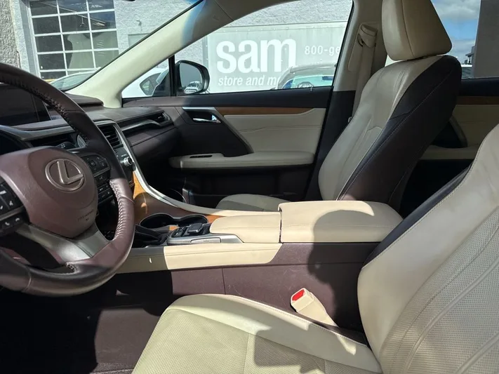 2017 Lexus RX - view 12
