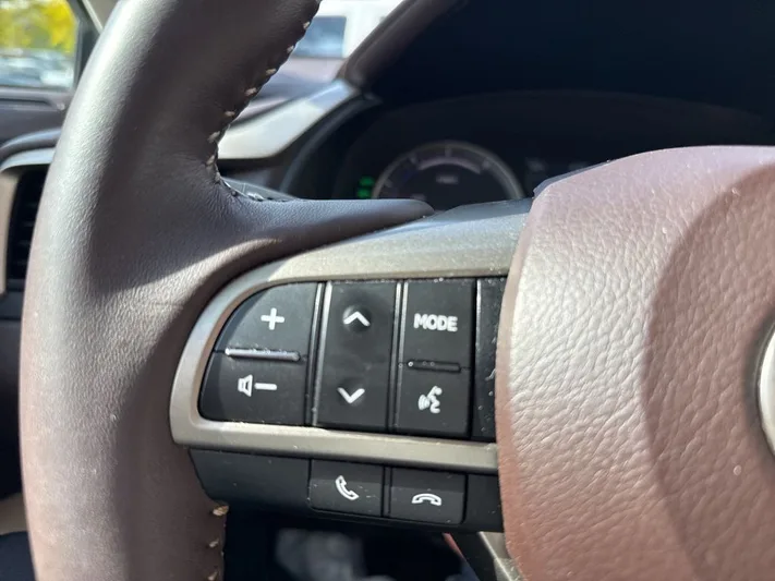 2017 Lexus RX - view 24