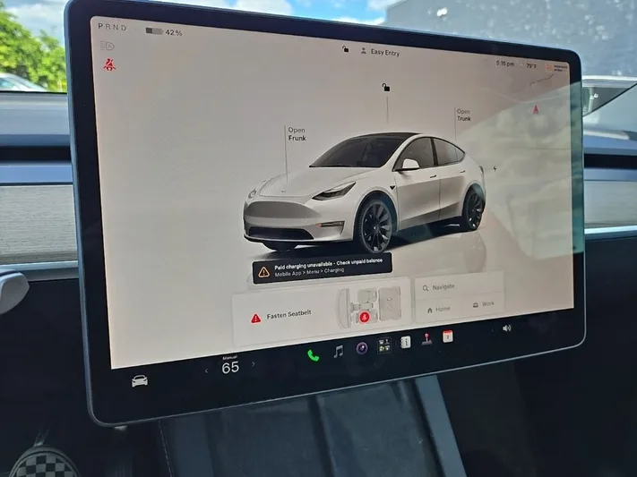 2023 Tesla Model - view 19