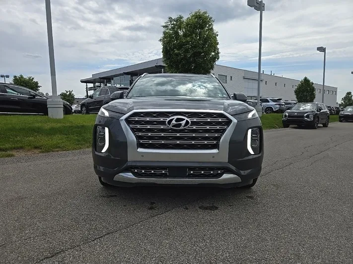 2020 Hyundai Palisade - view 10