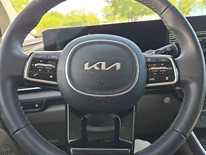 2025 Kia Carnival - view 12