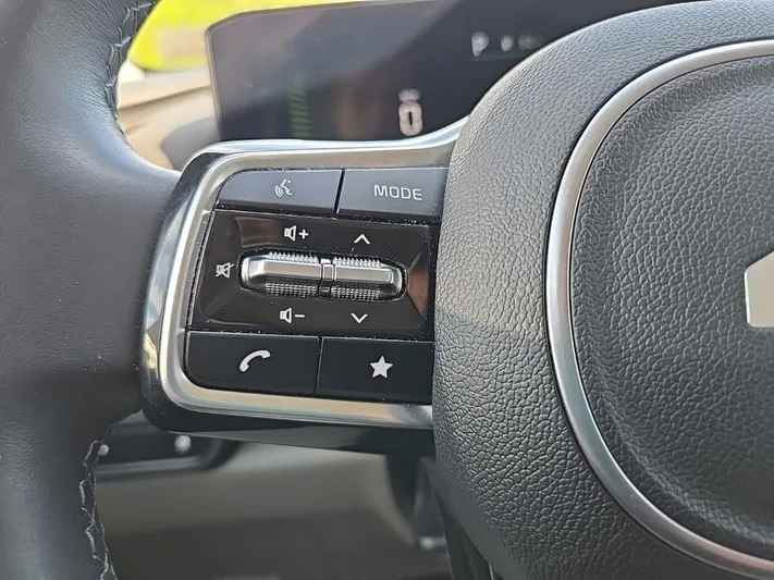 2025 Kia Carnival - view 13