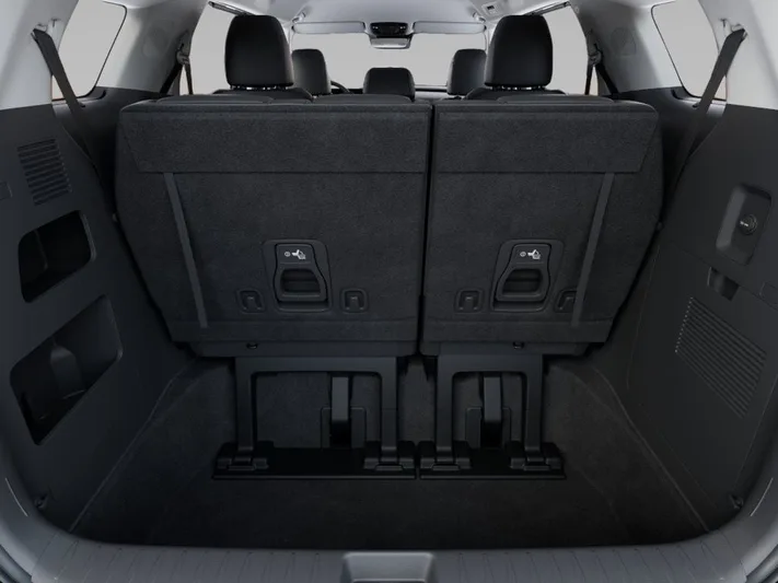 2026 Kia Carnival - view 19